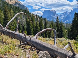 PXL_20240821_202206103~2_Large.jpg PXL_20240821_202206103~2_Large.jpg