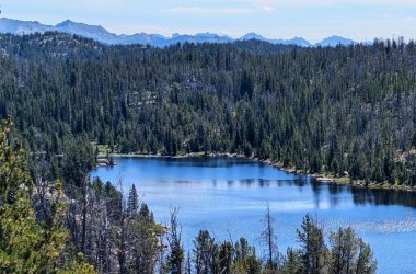 PXL_20240822_174210195~2_Large.jpg PXL_20240822_174210195~2_Large.jpg