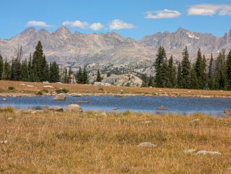 PXL_20240822_191334029_Large.jpg PXL_20240822_191334029_Large.jpg