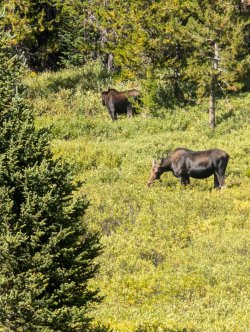 PXL_20240822_213202984_Large.jpg PXL_20240822_213202984_Large.jpg