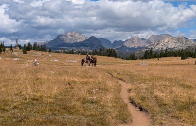 PXL_20240824_173736594.jpg PXL_20240824_173736594.jpg