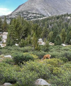 IMG_4722.jpg IMG_4722.jpg