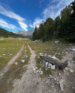 IMG_4737_Large.jpg IMG_4737_Large.jpg