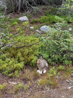 IMG_4776_Large.jpg IMG_4776_Large.jpg