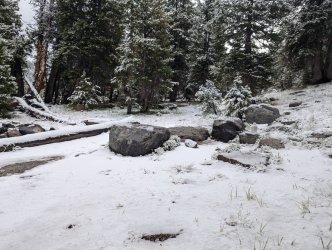 PXL_20240826_152450758_Large.jpg PXL_20240826_152450758_Large.jpg