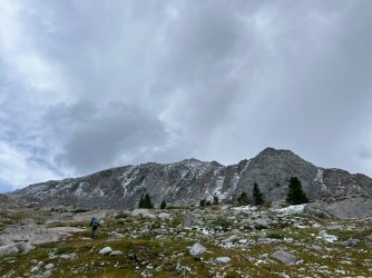 IMG_4819_Large.jpg IMG_4819_Large.jpg