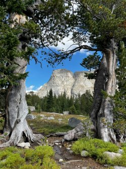 IMG_4859_Large.jpg IMG_4859_Large.jpg