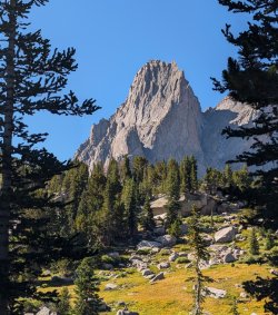 PXL_20240828_162705372b_Large.jpg PXL_20240828_162705372b_Large.jpg