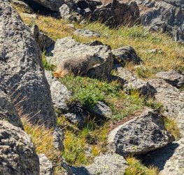 PXL_20240828_172729523_Large.jpg PXL_20240828_172729523_Large.jpg