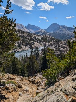 PXL_20240828_181703217_Large.jpg PXL_20240828_181703217_Large.jpg