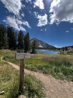 IMG_5042.jpg IMG_5042.jpg