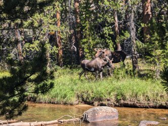 PXL_20240828_220310285_Large.jpg PXL_20240828_220310285_Large.jpg