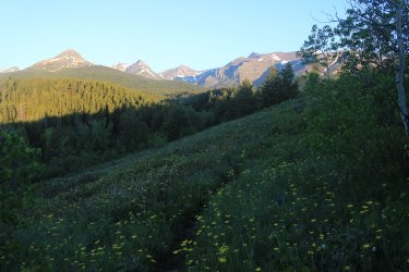 IMG_6038.jpg IMG_6038.jpg