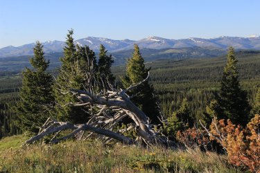 IMG_6056.jpg IMG_6056.jpg