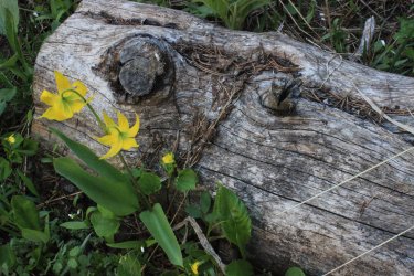 IMG_6061.jpg IMG_6061.jpg