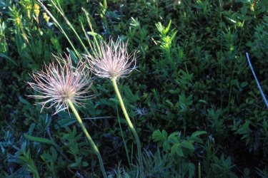 IMG_6065.jpg IMG_6065.jpg