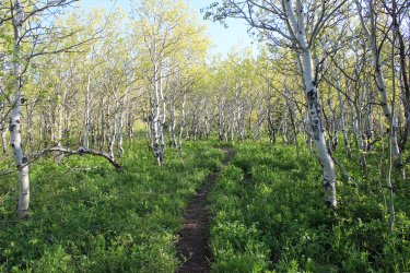 IMG_6068.jpg IMG_6068.jpg