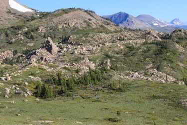 IMG_6084.jpg IMG_6084.jpg