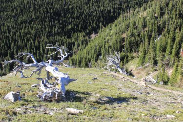 IMG_6101.jpg IMG_6101.jpg