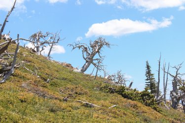 IMG_6193.jpg IMG_6193.jpg