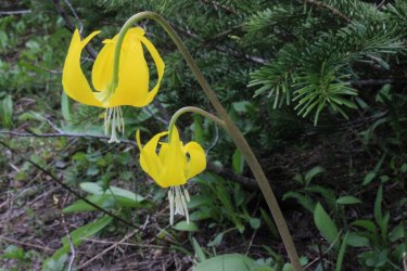 IMG_6218.jpg IMG_6218.jpg