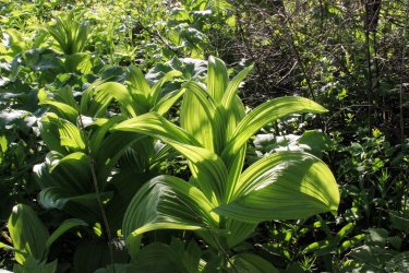 IMG_6261.jpg IMG_6261.jpg