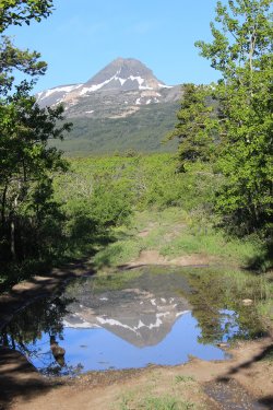 IMG_6271.jpg IMG_6271.jpg