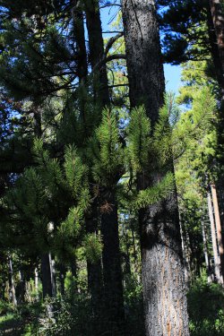 IMG_6288.jpg IMG_6288.jpg