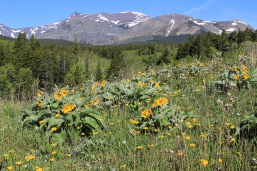 IMG_6308.jpg IMG_6308.jpg