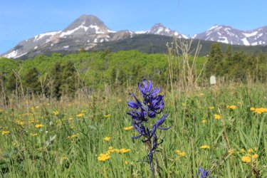 IMG_6310.jpg IMG_6310.jpg