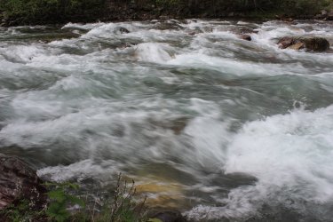 IMG_6341.jpg IMG_6341.jpg