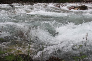 IMG_6359.jpg IMG_6359.jpg