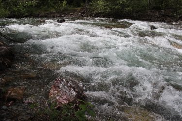 IMG_6366.jpg IMG_6366.jpg