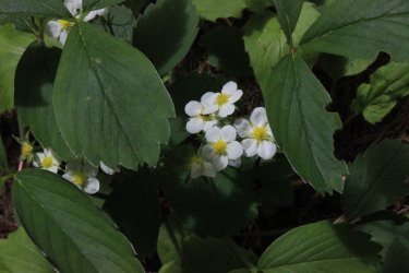 IMG_6370.jpg IMG_6370.jpg