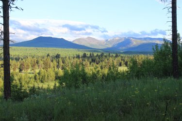 IMG_6380.jpg IMG_6380.jpg