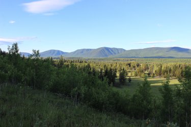 IMG_6382.jpg IMG_6382.jpg