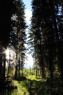 IMG_6394.jpg IMG_6394.jpg