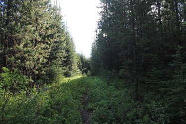 IMG_6398.jpg IMG_6398.jpg