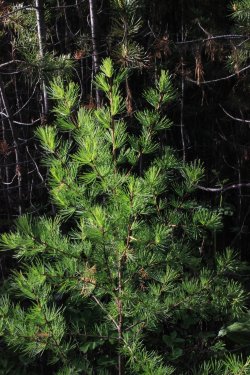 IMG_6404.jpg IMG_6404.jpg