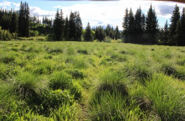 IMG_6413.jpg IMG_6413.jpg