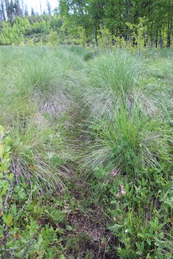 IMG_6417.jpg IMG_6417.jpg