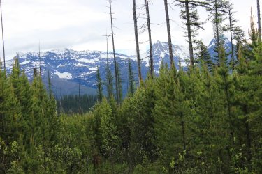 IMG_6428.jpg IMG_6428.jpg