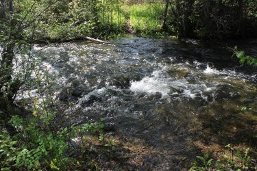 IMG_6449.jpg IMG_6449.jpg