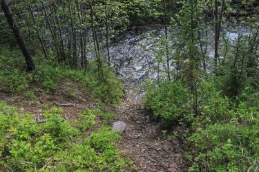 IMG_6459.jpg IMG_6459.jpg