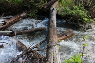 IMG_6460.jpg IMG_6460.jpg