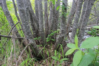 IMG_6479.jpg IMG_6479.jpg