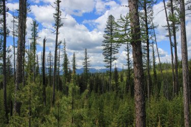 IMG_6488.jpg IMG_6488.jpg