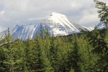 IMG_6510.jpg IMG_6510.jpg