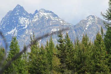 IMG_6511.jpg IMG_6511.jpg