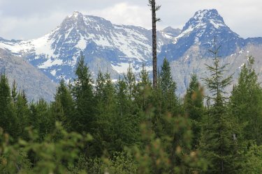 IMG_6512.jpg IMG_6512.jpg